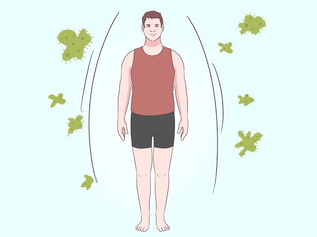 healthy blog